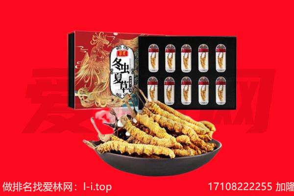 围场县回收虫草.jpg